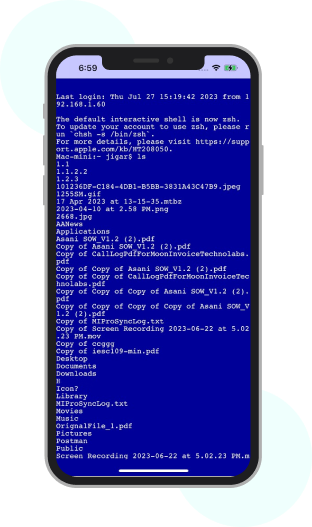 Efficient Fortified Terminal